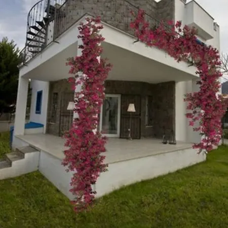 Murat With Private Pool 2 Villa *